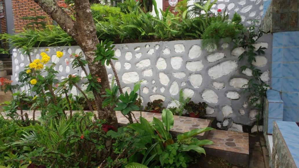 Bintang Bungalow Tour & Travel Kelimutu Exterior photo